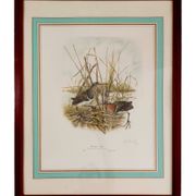 Paire de lithographies originales signées au crayon Gail Denise Darroll