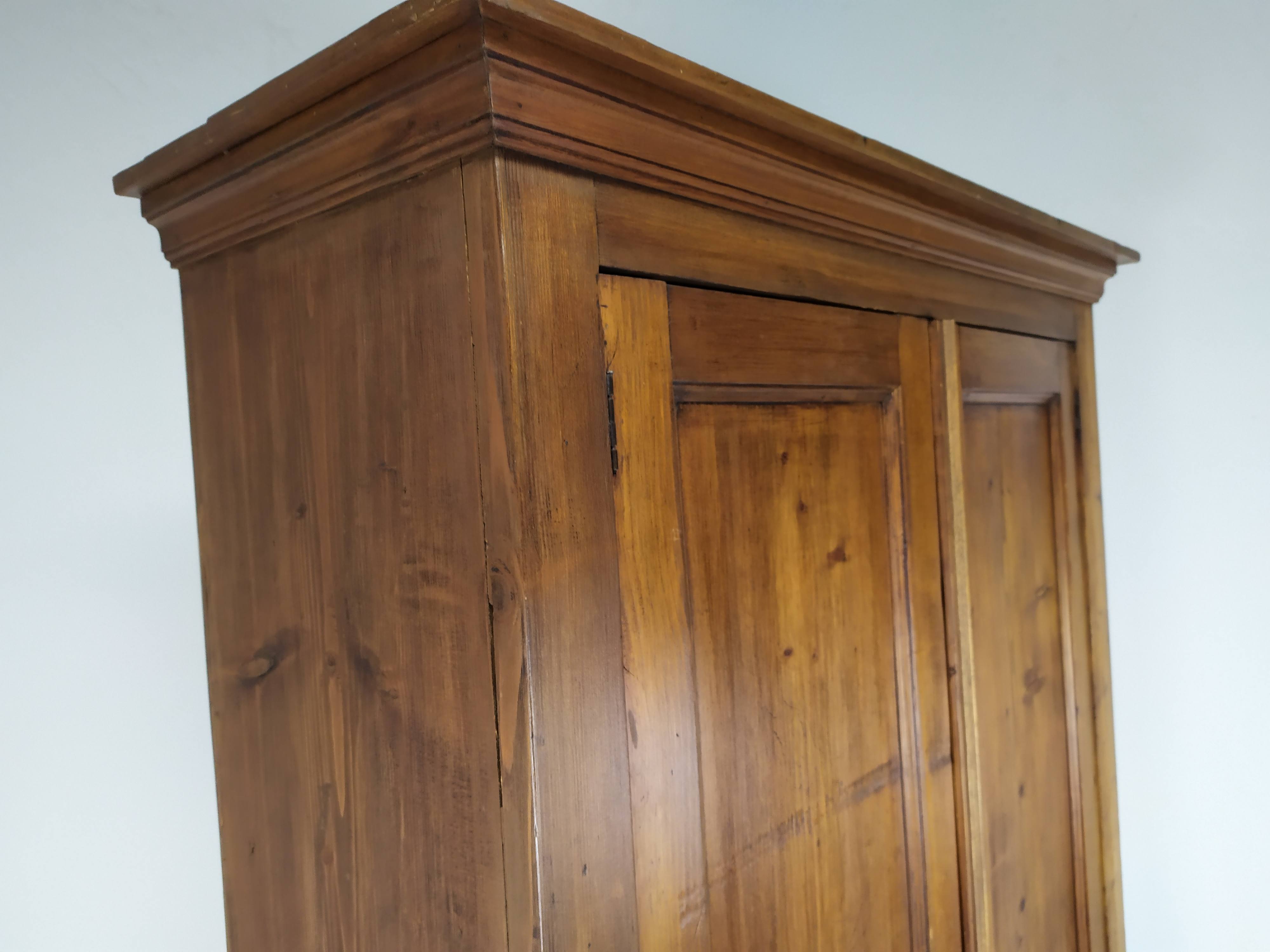 Parisian wardrobe fir tree