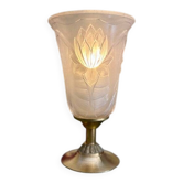 Lamp with antique tulip: the water lilies
