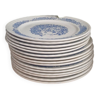 Lot 15 assiettes plates marque Wembley