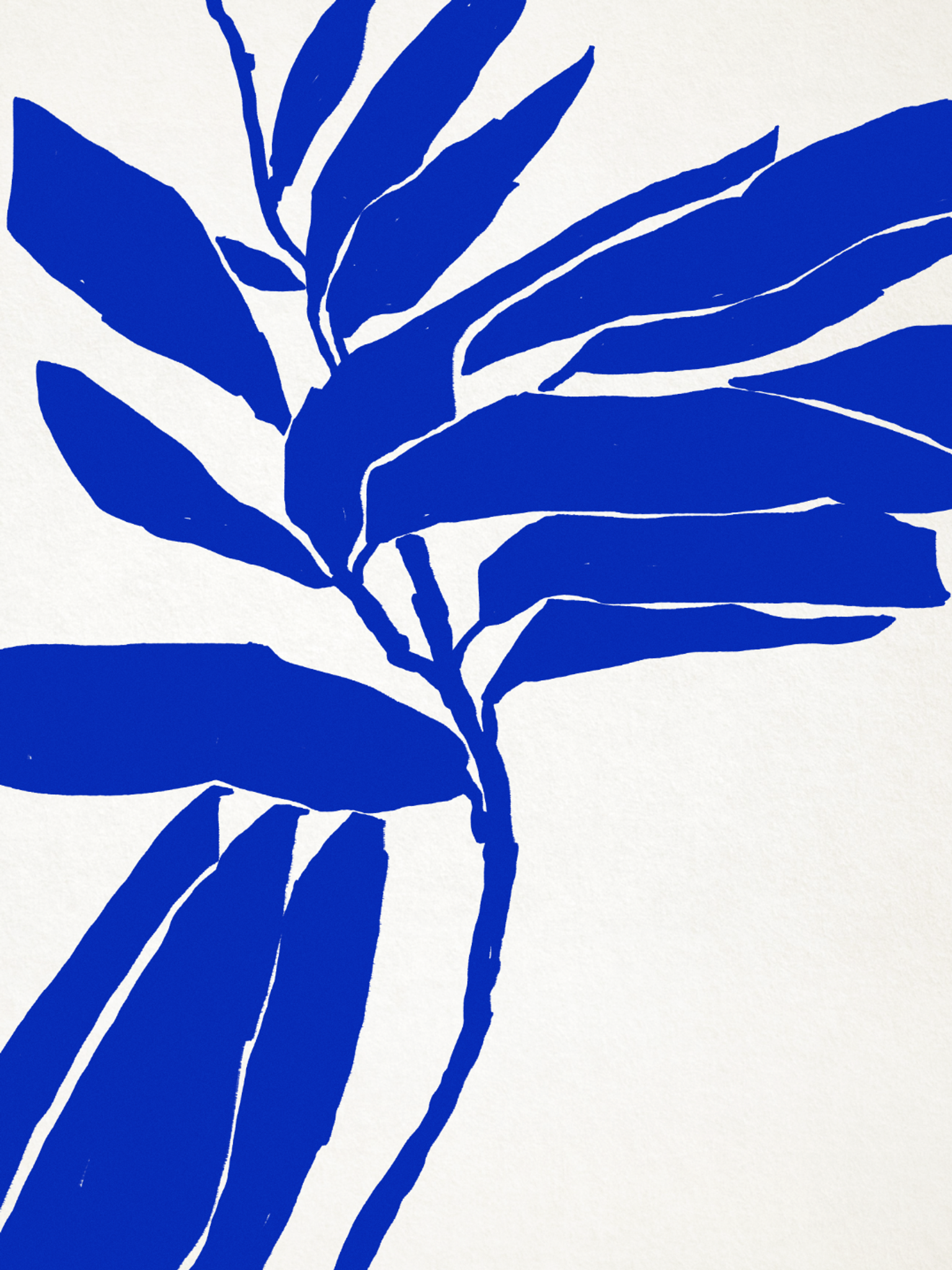 Botanical illustration in blue, 50x70cm