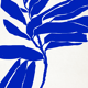 Botanical illustration in blue, 50x70cm