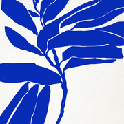 Botanical illustration in blue, 50x70cm