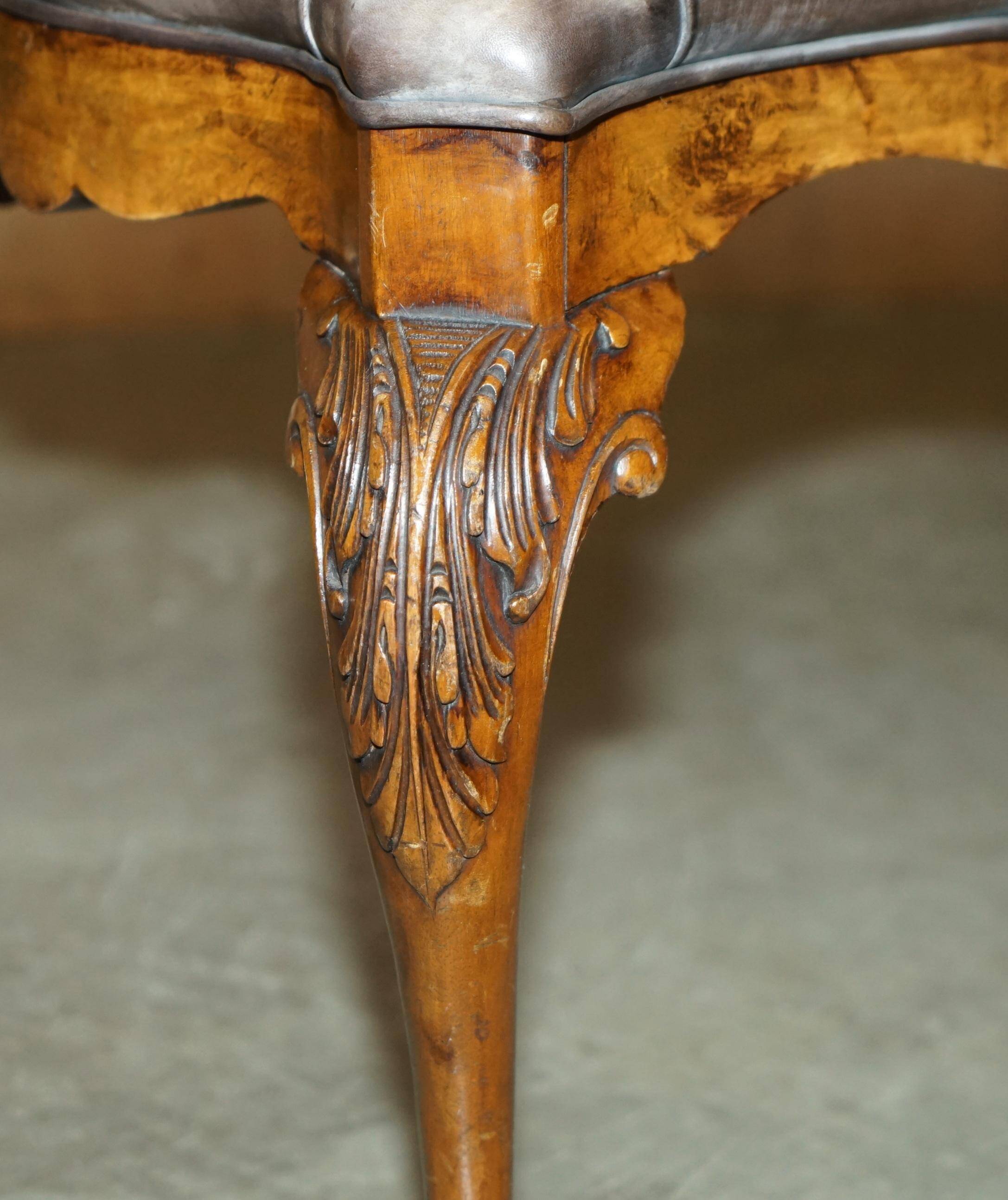 Banc ancien en cuir et noyer burr, style victorien