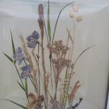 Herbarium on watercolor. the 50's .