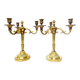Paire de candélabres en bronze doré et ciselé style Louis XVI