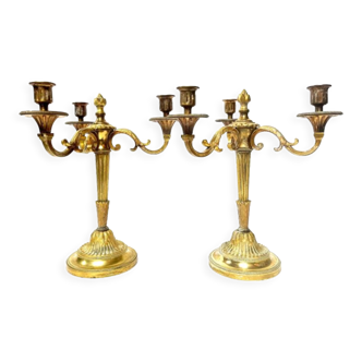 Pair of candelabras in gilded and chiseled bronze Louis XVI style