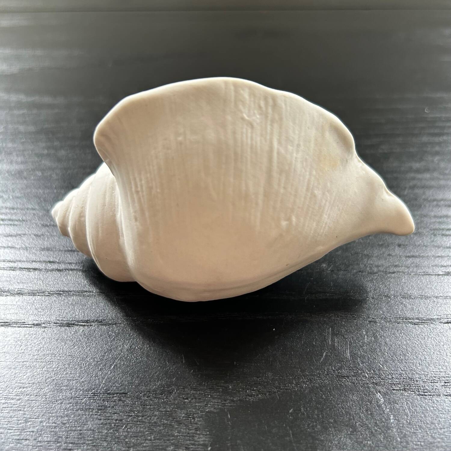 Biscuit shell candle holder