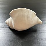 Biscuit shell candle holder