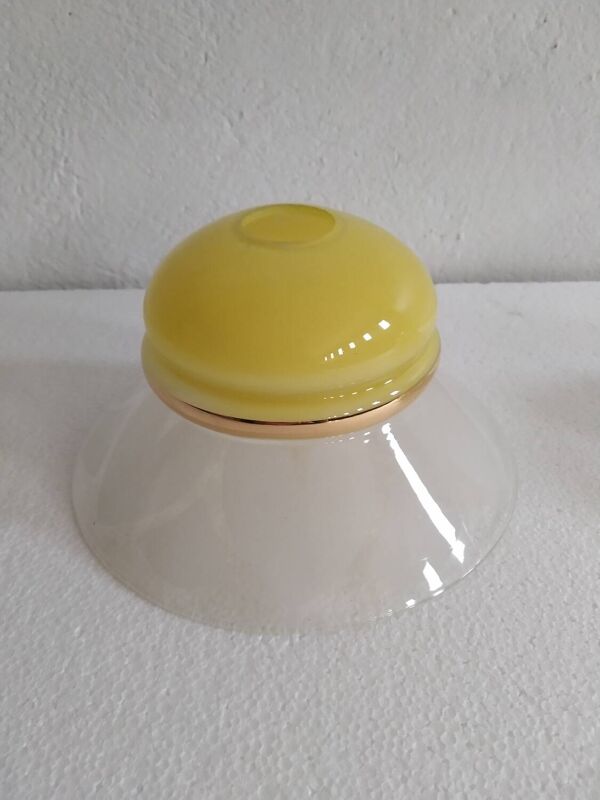 Verrerie de luminaire vintage