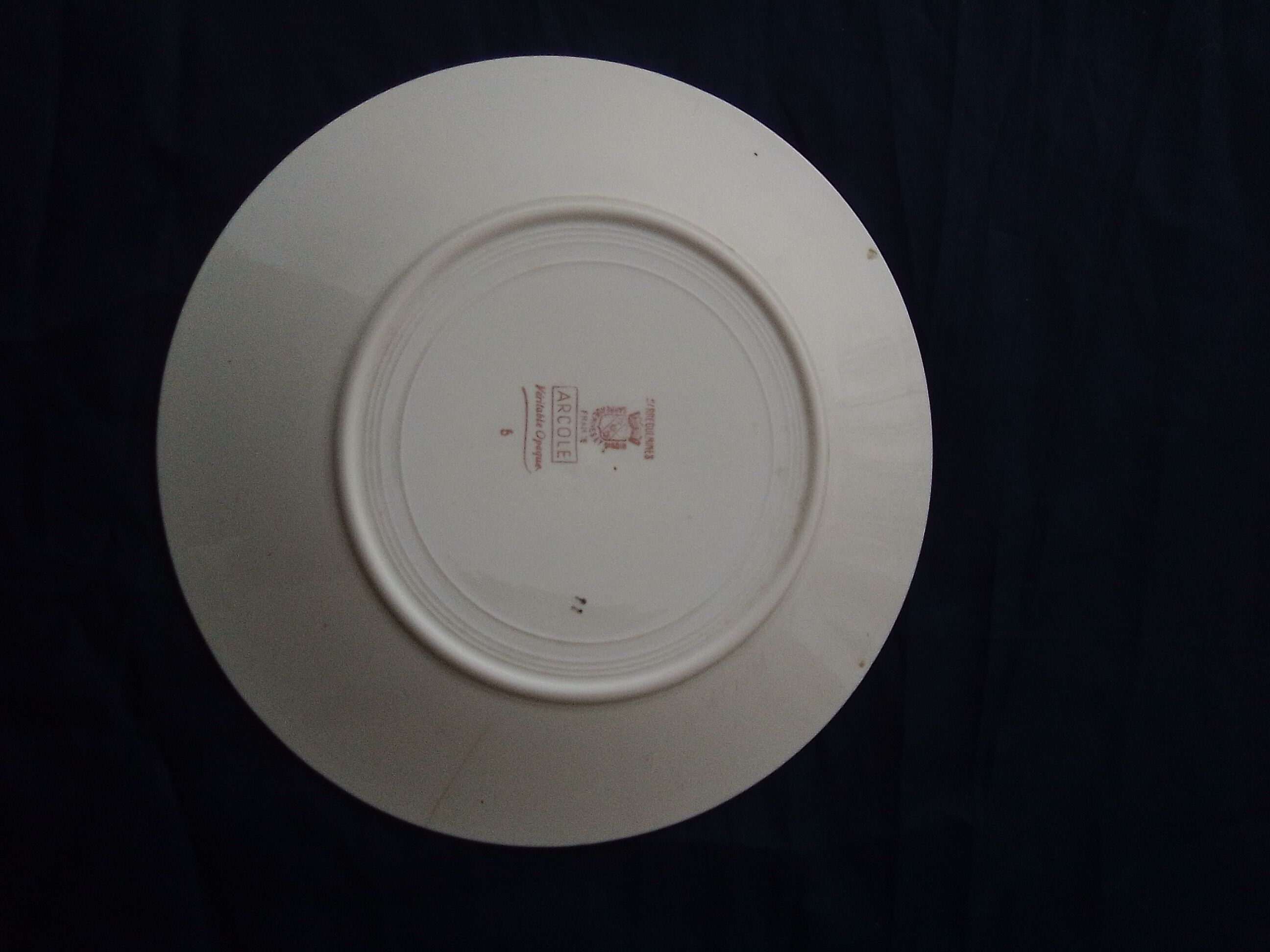 Flat plate in earthenware of Digoin Sarreguemines model Arcole diam 23,5 cm