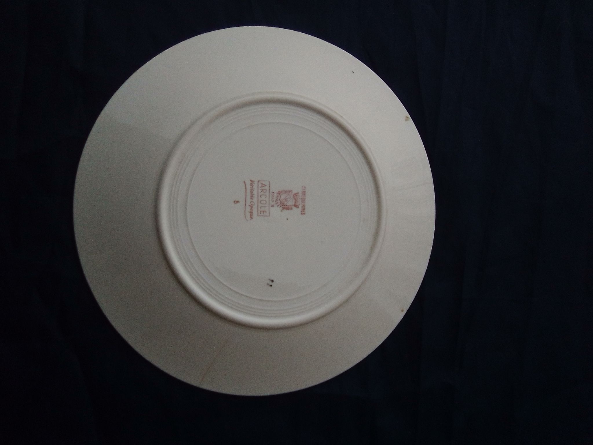 Flat plate in earthenware of Digoin Sarreguemines model Arcole diam 23,5 cm