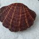 Boite coquillage vintage en osier