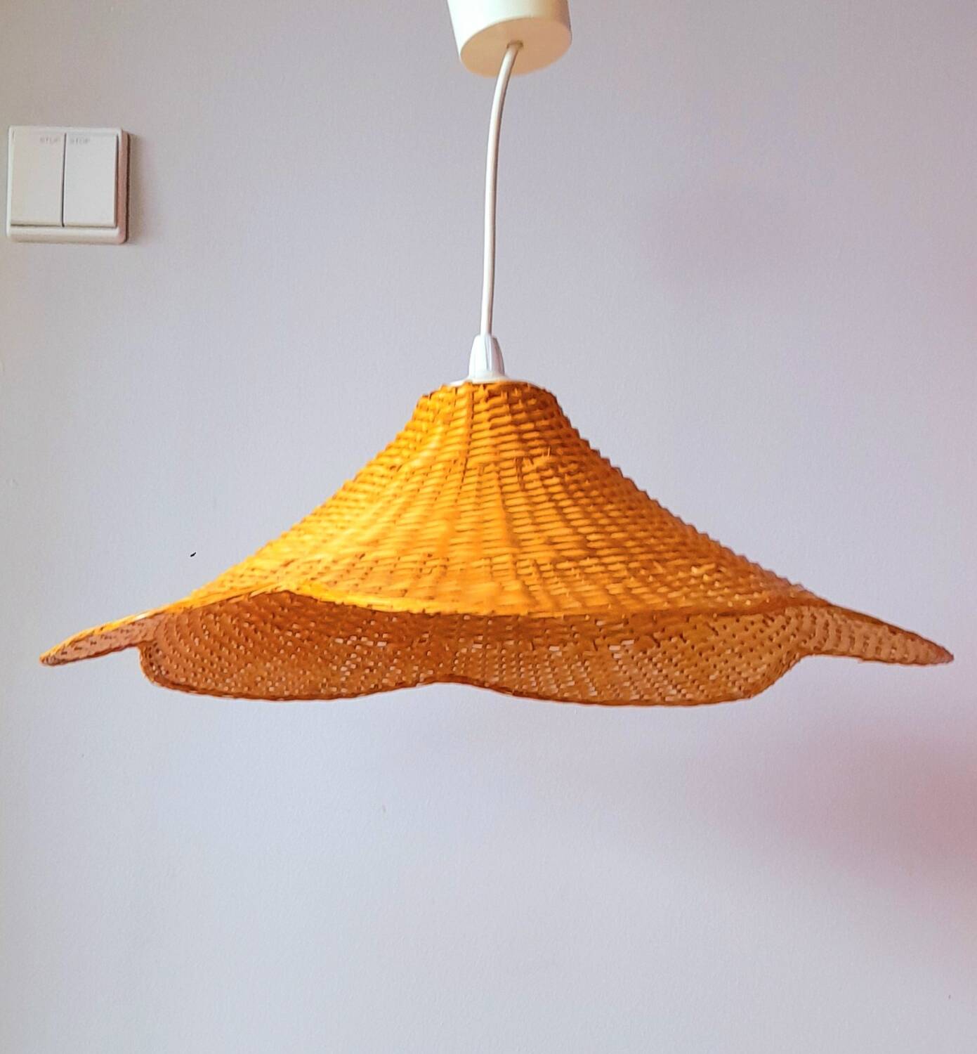 Suspension osier tréssé 1970