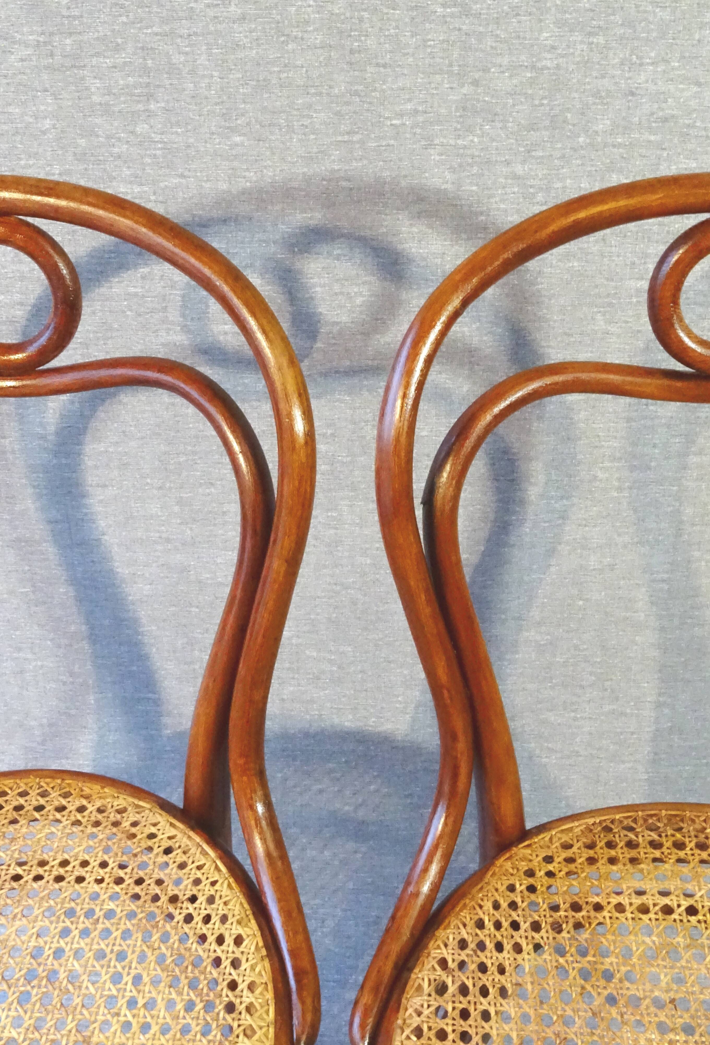 Set of 4 chairs THONET N°31, circa 1880, new cannages