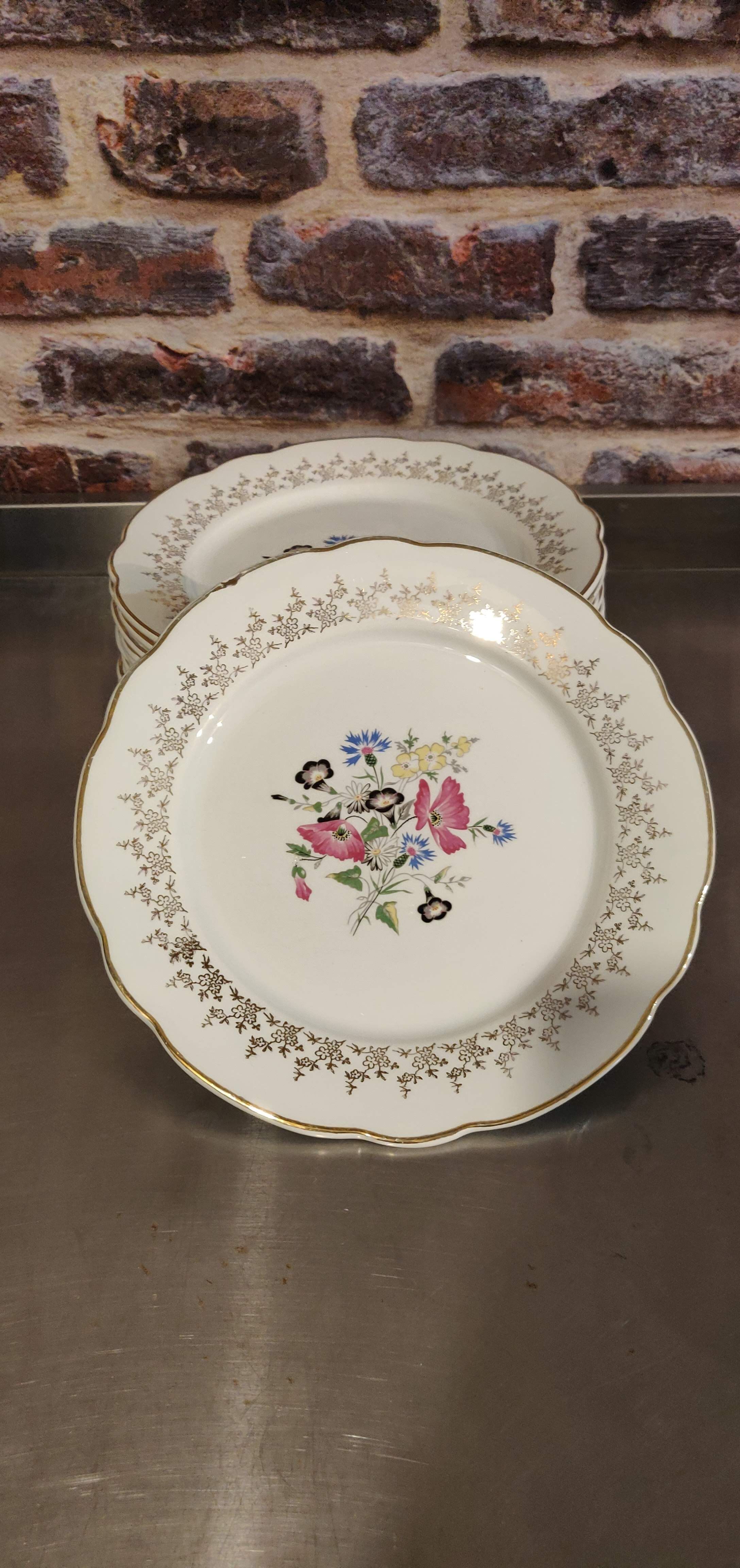 12 assiettes plates Digoin et Sarguemines Pampelune