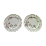 Set of 2 flat plates in porcelain of Limoges Haviland Model Eglantine