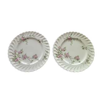 Set of 2 flat plates in porcelain of Limoges Haviland Model Eglantine