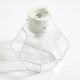 1970s Limburg glass ceiling lamp in octagon shape with its original box