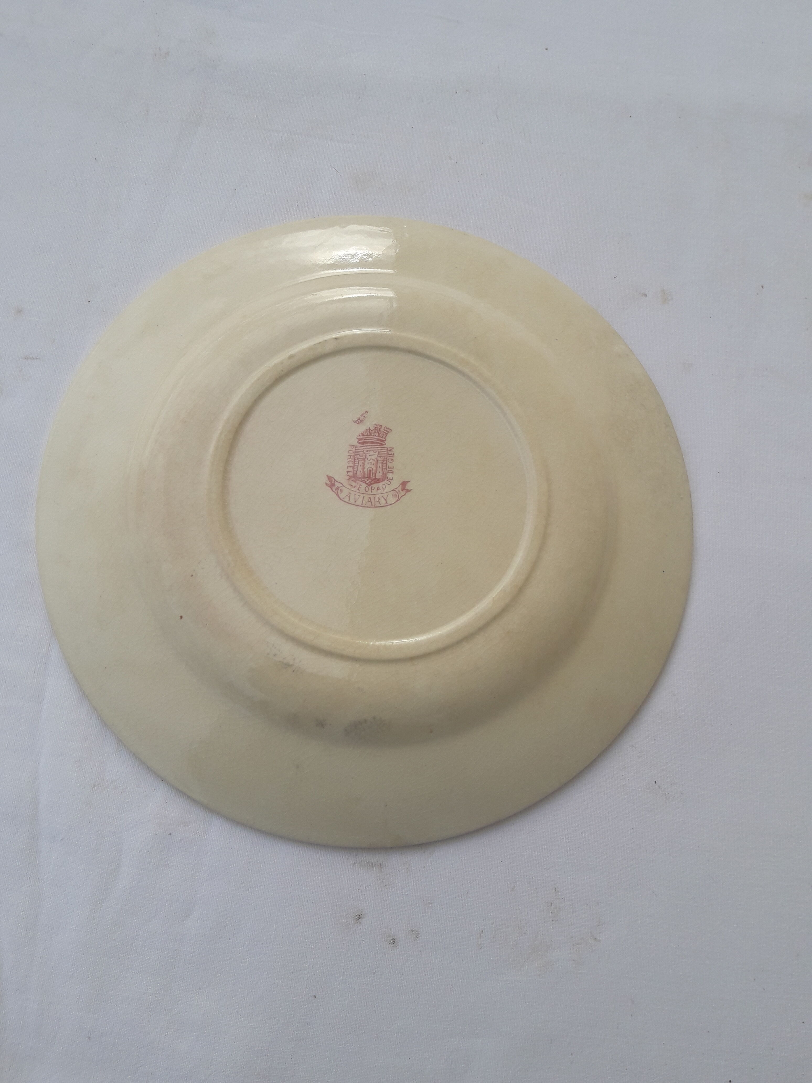 Assiette en porcelaine opaque de Gien  modèle Aviary diam 22,5 cm XIX ème siècle