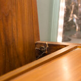 1960s teak wall coat rack
