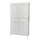 Antique Parisian panelled wardrobe from 1940.