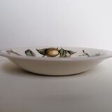 5 hollow botanical plates Saint George Andina