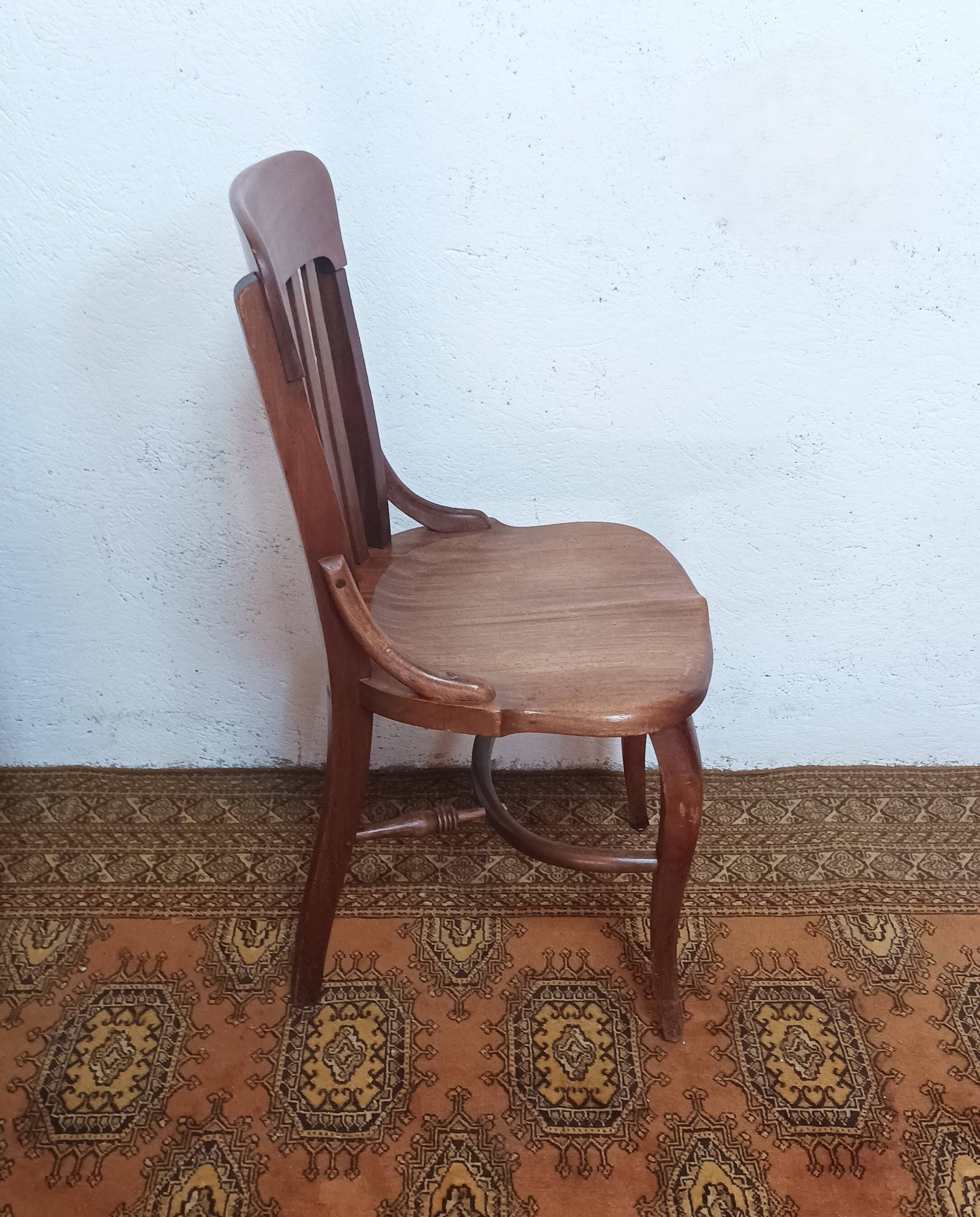 Vintage Cosmos house chair