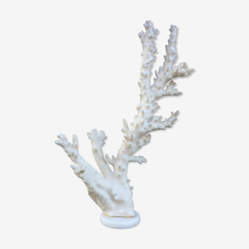 Coral branch 46 x 31 cm on alabaster marble base