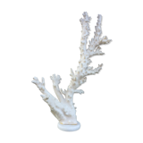 Coral branch 46 x 31 cm on alabaster marble base