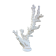 Coral branch 46 x 31 cm on alabaster marble base