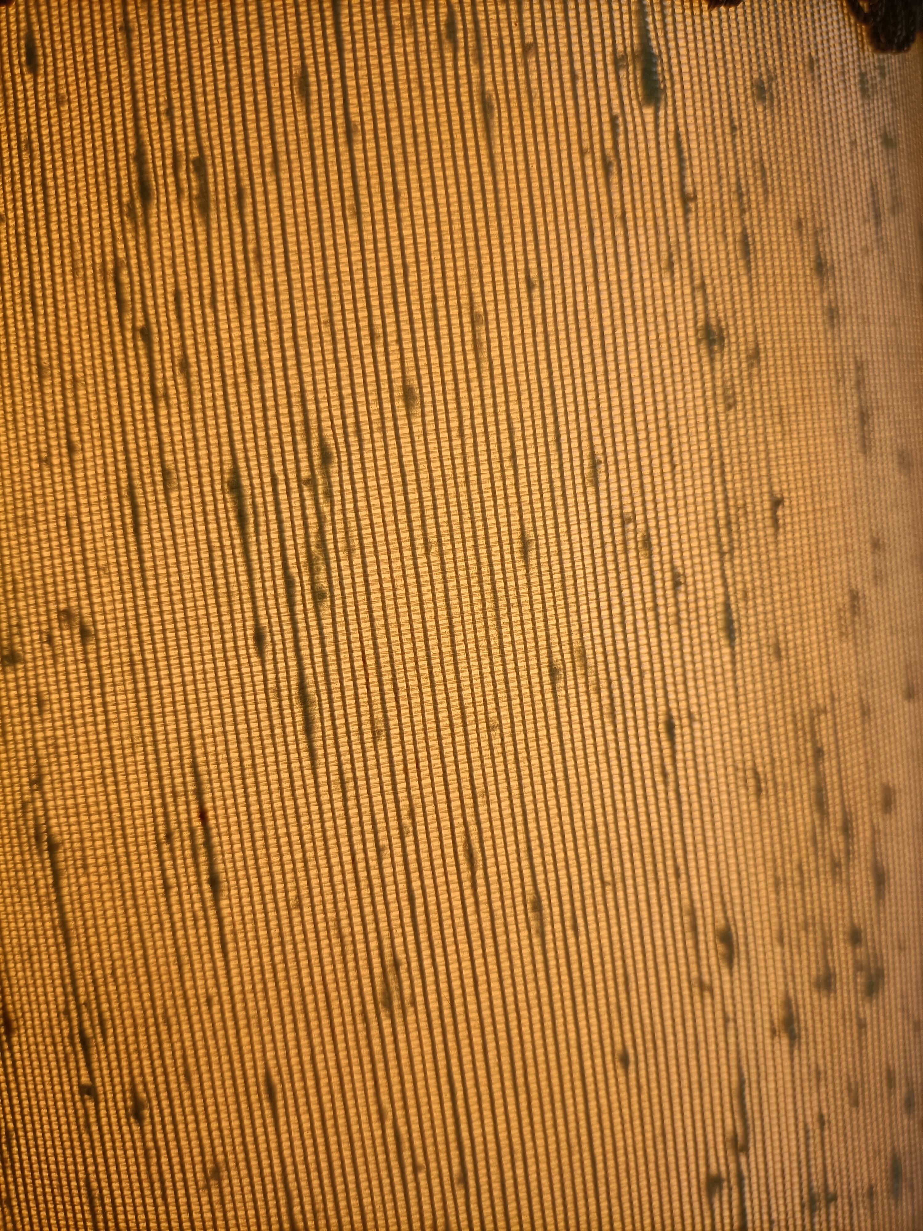 Solid brass candle holder lamp and vintage fabric