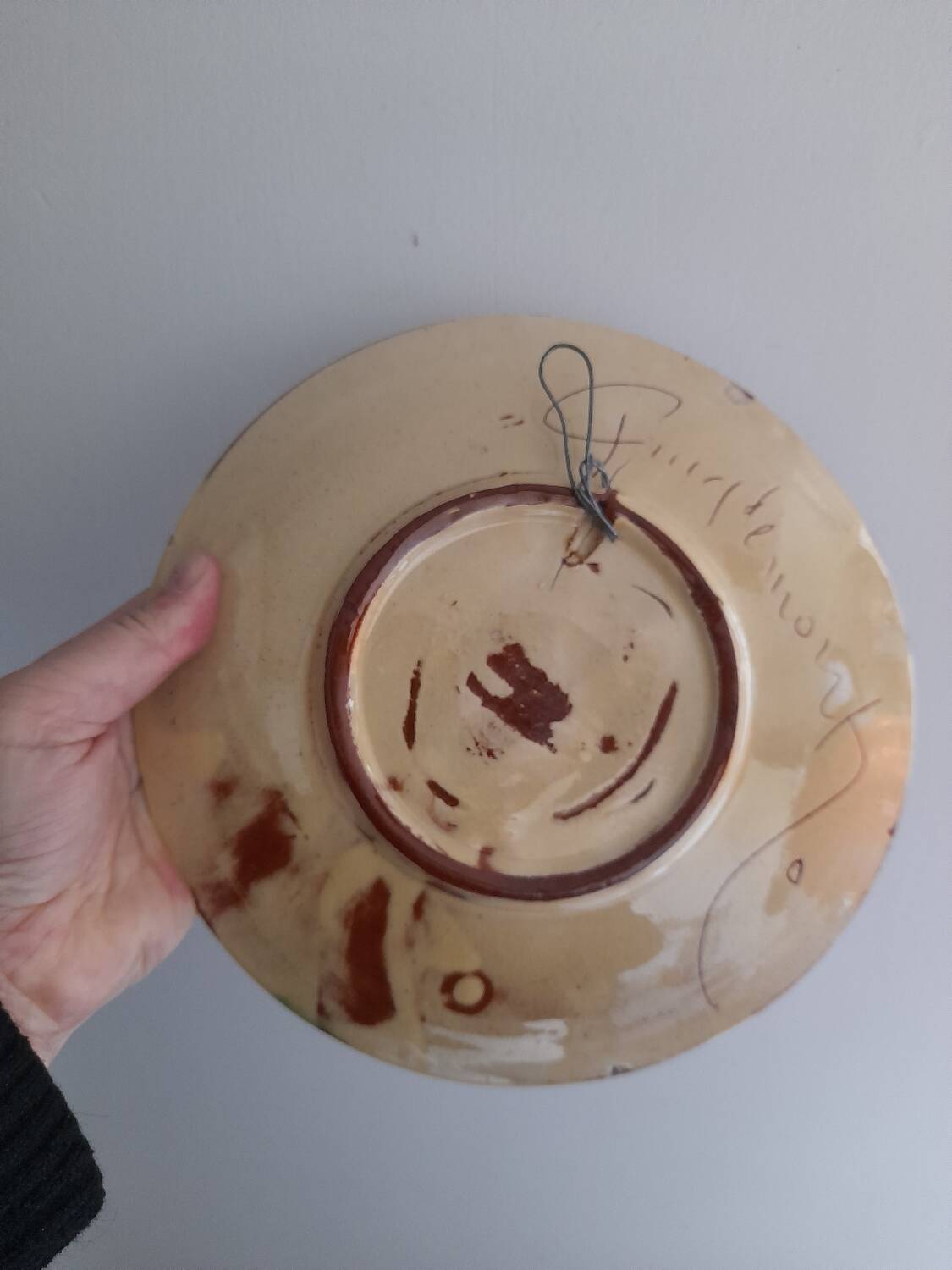 Beautiful decorative fish plate Puigdemont