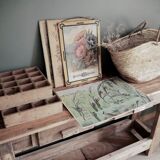 Dragonfly school poster