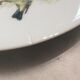 5 bird decoration dessert plates