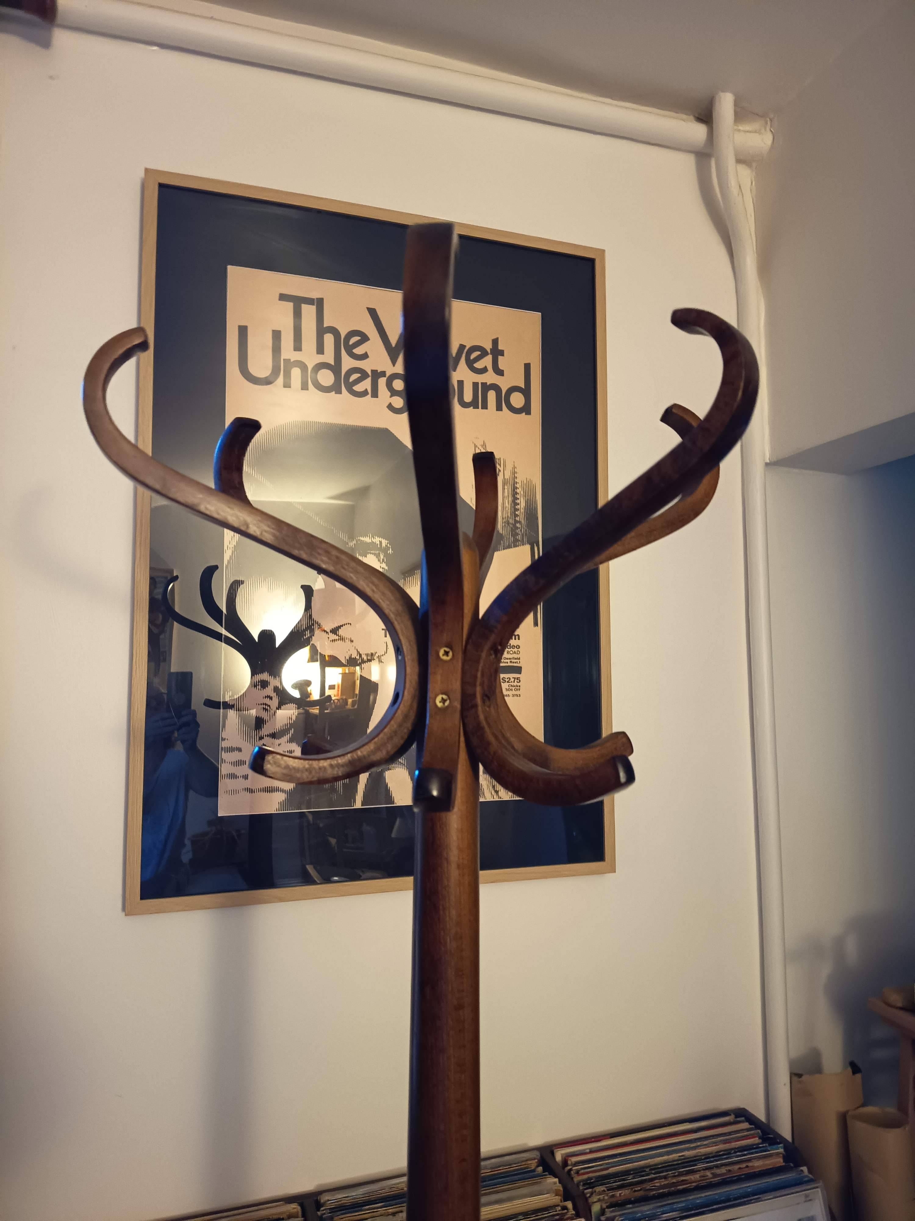 Porte manteau perroquet Baumann
