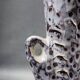 Vase with two handles in glazed ceramic - vallauris, marius giuge style fat lava