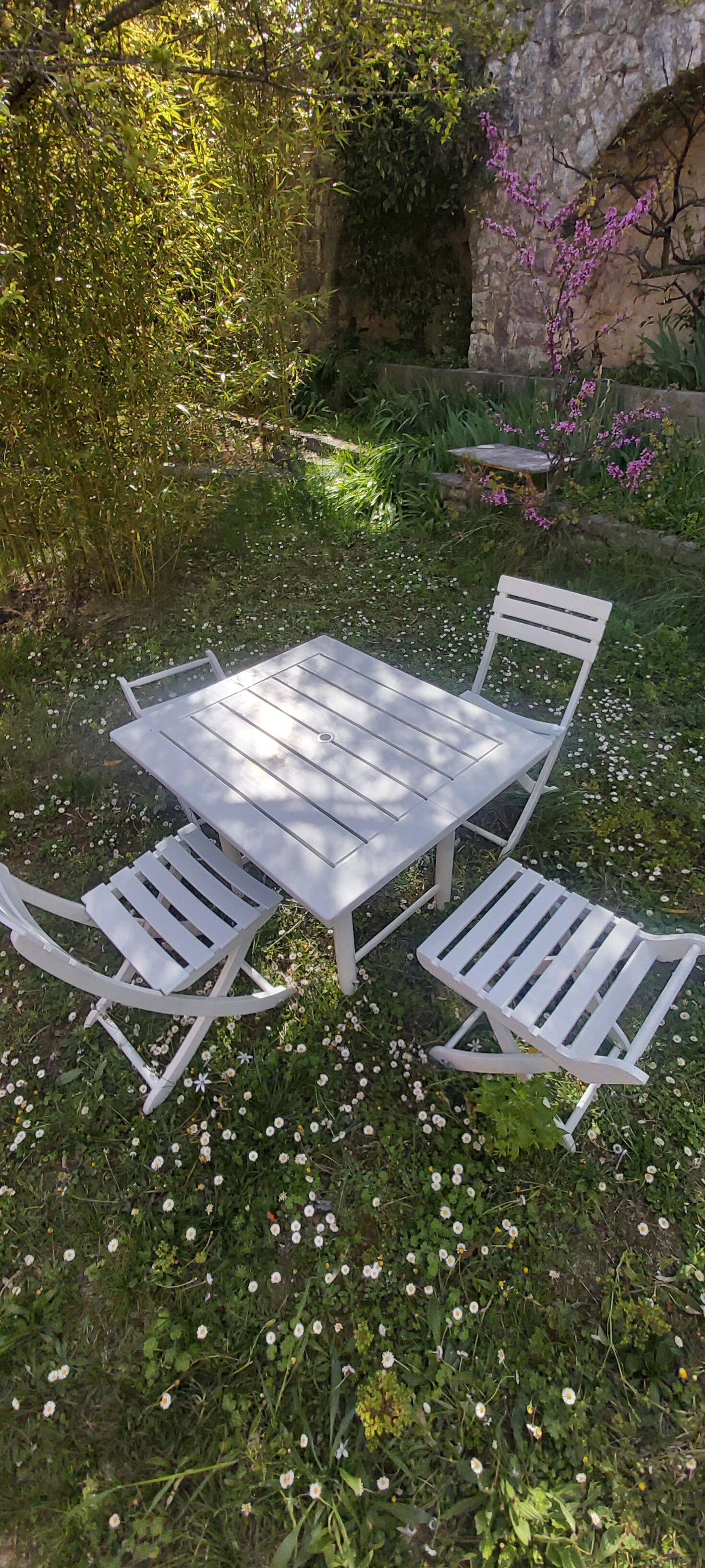 Vintage Triconfort garden set