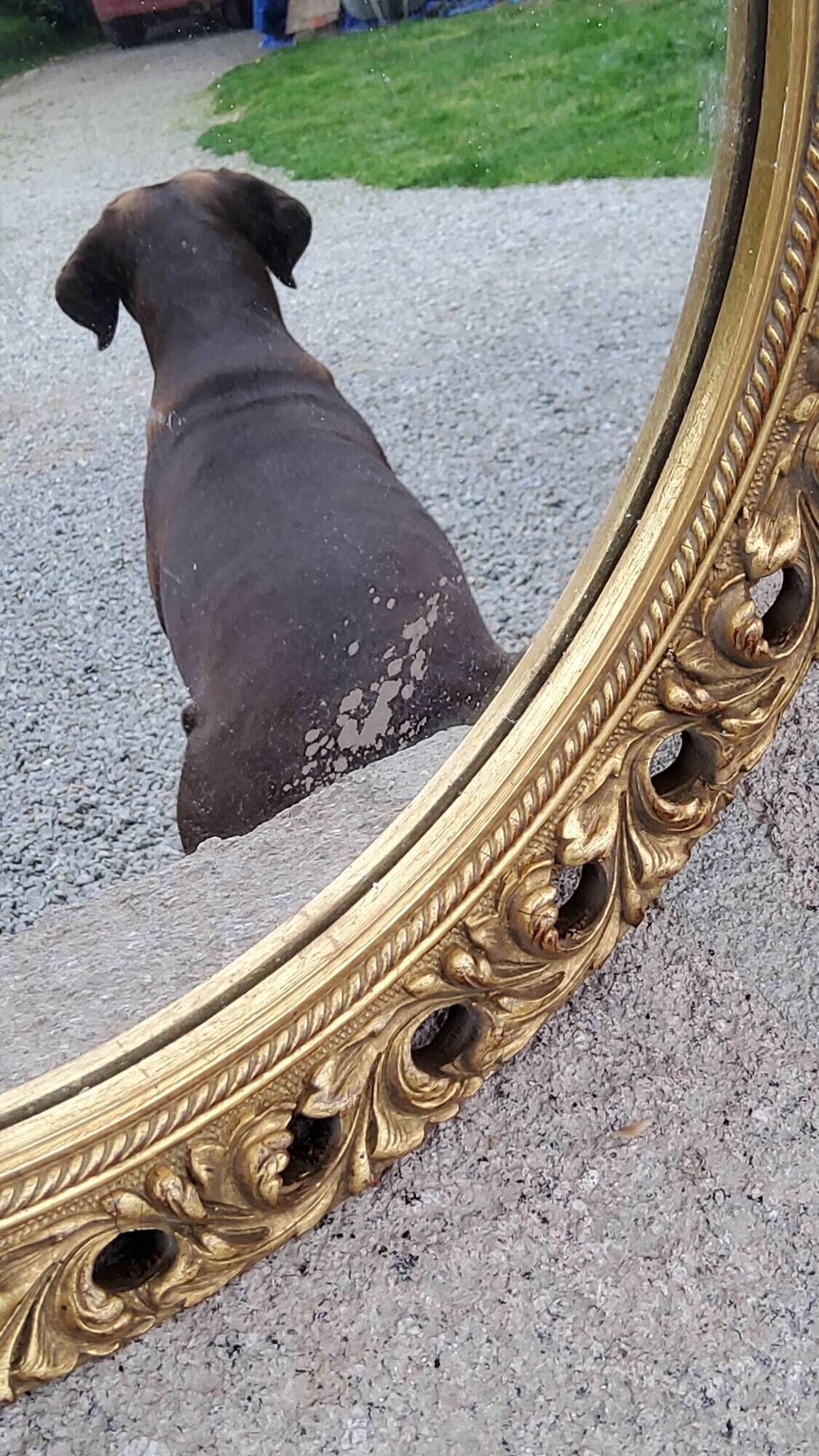 Round neoclassical style mirror in wood and gilded stucco from the 1950s