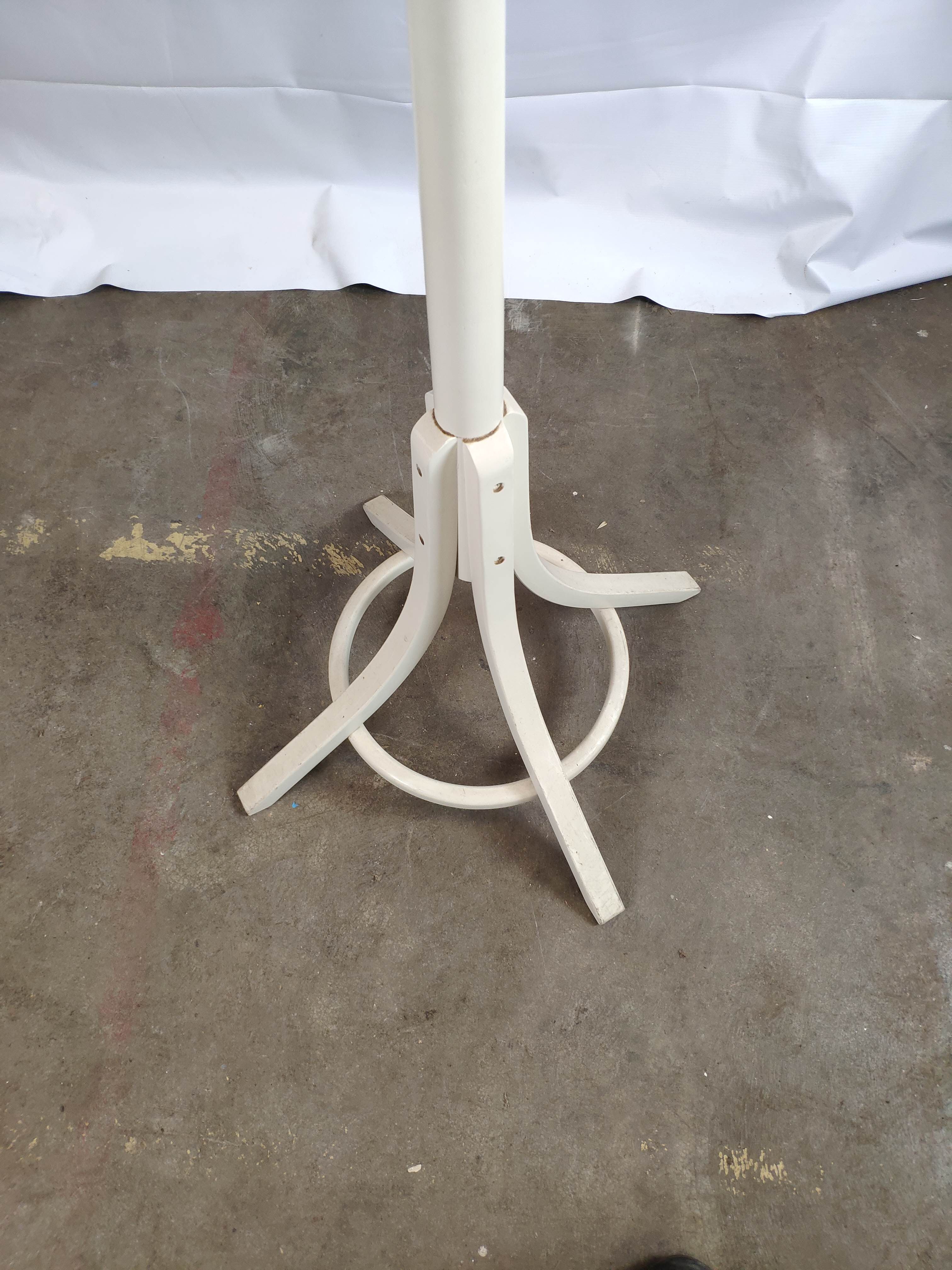 White mantle wooden Baumann parrot