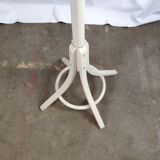 White mantle wooden Baumann parrot