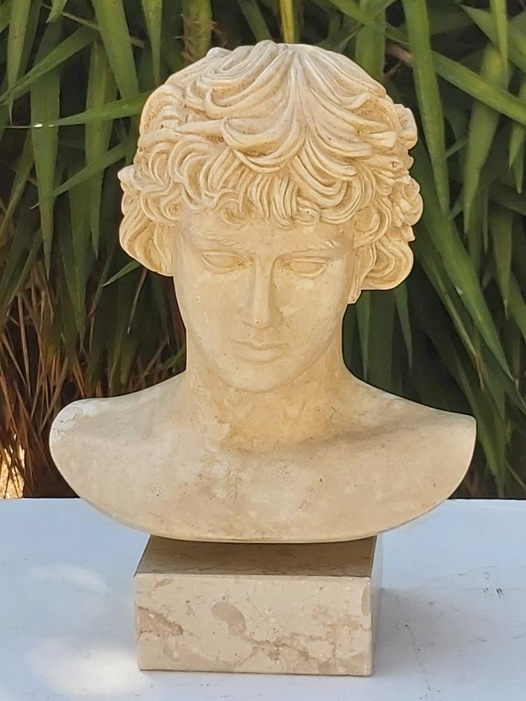 Plaster and marble bust