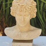 Plaster and marble bust