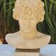 Plaster and marble bust
