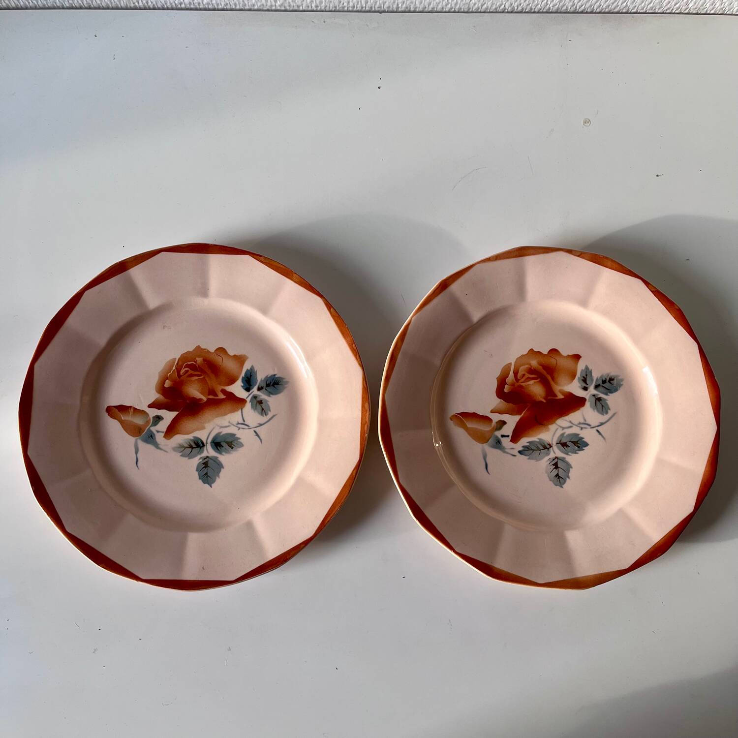 Set of 2 antique Sarreguemines earthenware plates with floral decoration