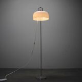 Mid-Century Floor Lamp Medusa by Luigi Massoni for Guzzini, 1970s, Italy