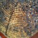 Vintage glass ball lamp