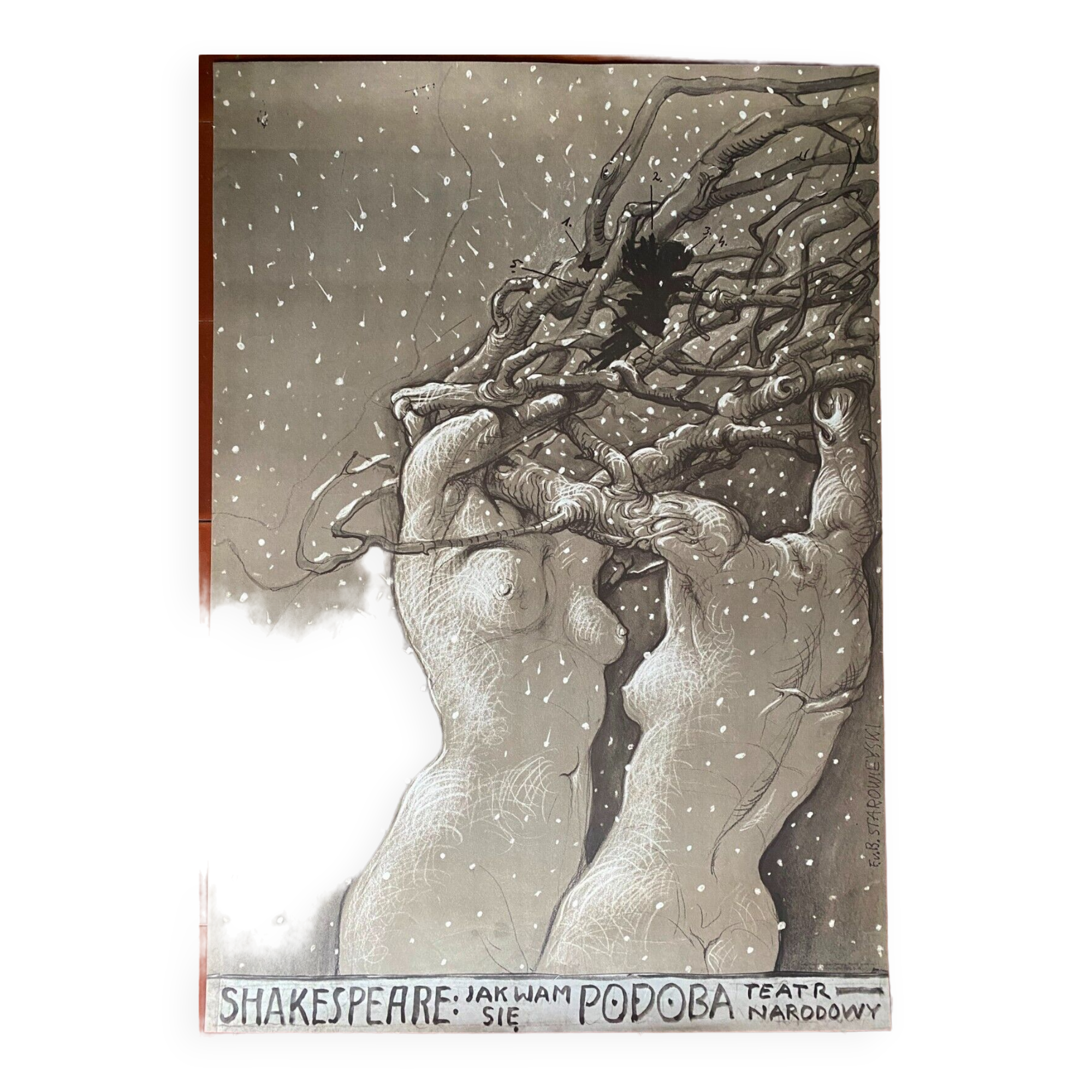 Affiche originale polonaise théâtre "William Shakespeare" STAROWIEYSKI 1980