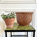 Wicker cane basket planter