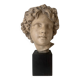 Plaster bust on a wooden base